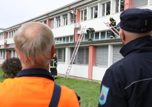 vajacz2019vido (16)